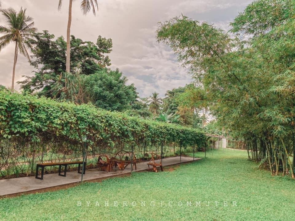 Dreamink Farm Og Myl'S Place Sorsogon Bagian luar foto