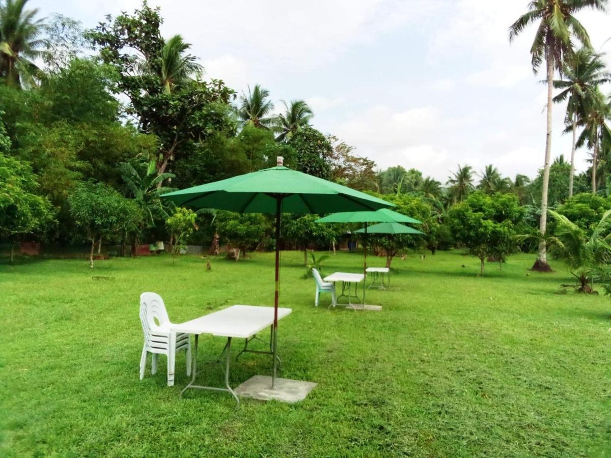 Dreamink Farm Og Myl'S Place Sorsogon Bagian luar foto