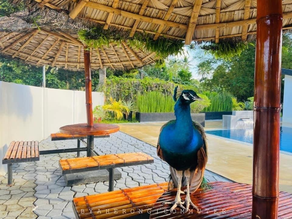 Dreamink Farm Og Myl'S Place Sorsogon Bagian luar foto